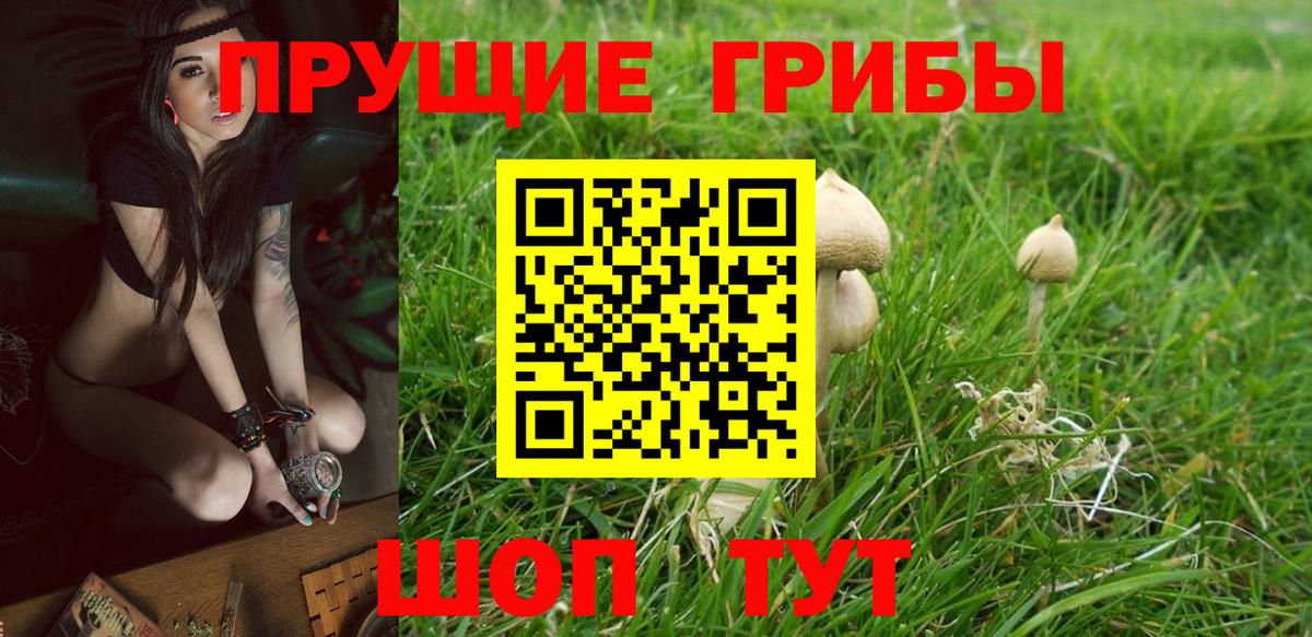 Галлюциногенные грибы MAGIC MUSHROOMS  Галлюциногенные грибы GOLDEN TEACHER  Вход с VPN  Нурлат 